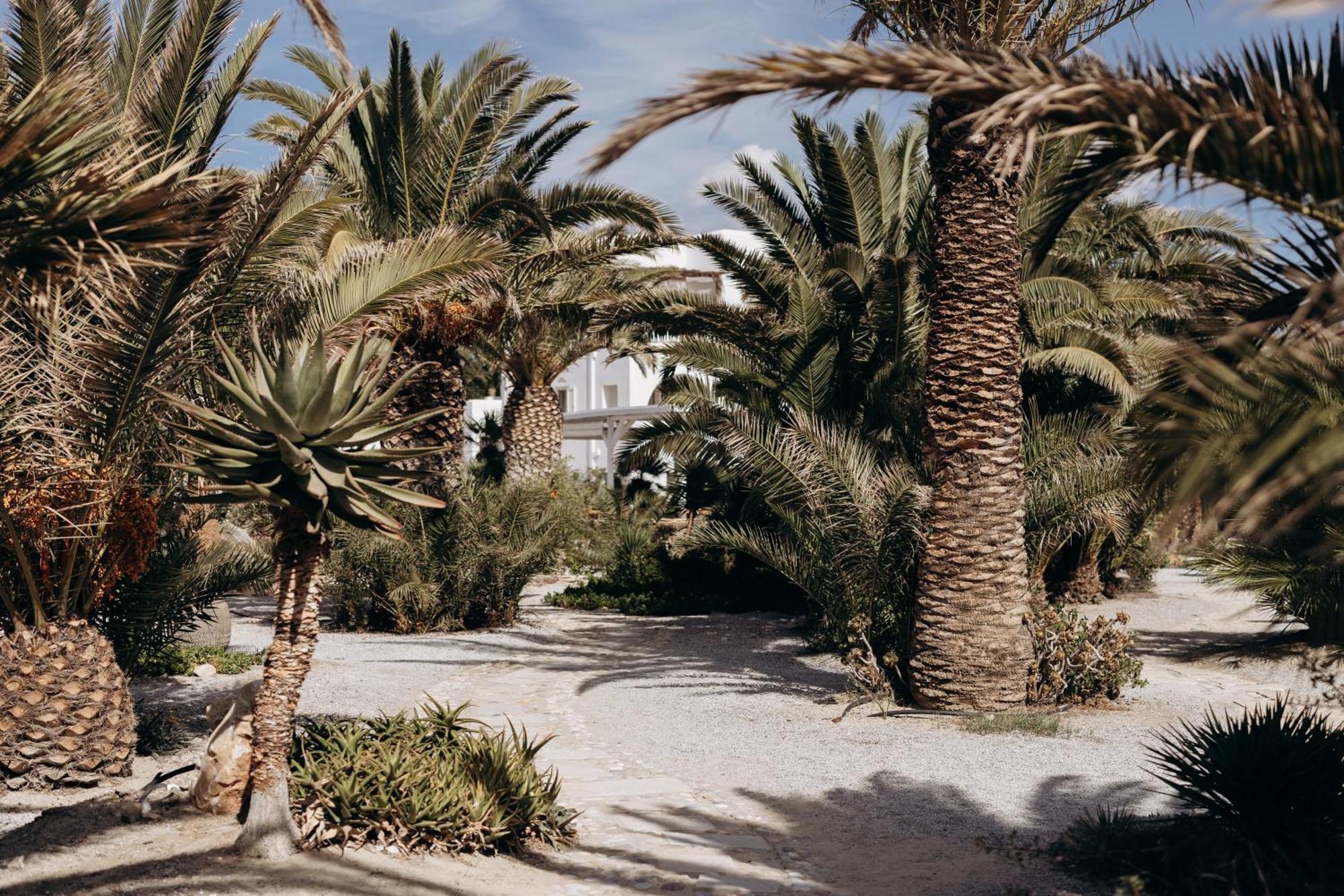 Medusa Resort & Suites Πλάκα Εξωτερικό φωτογραφία